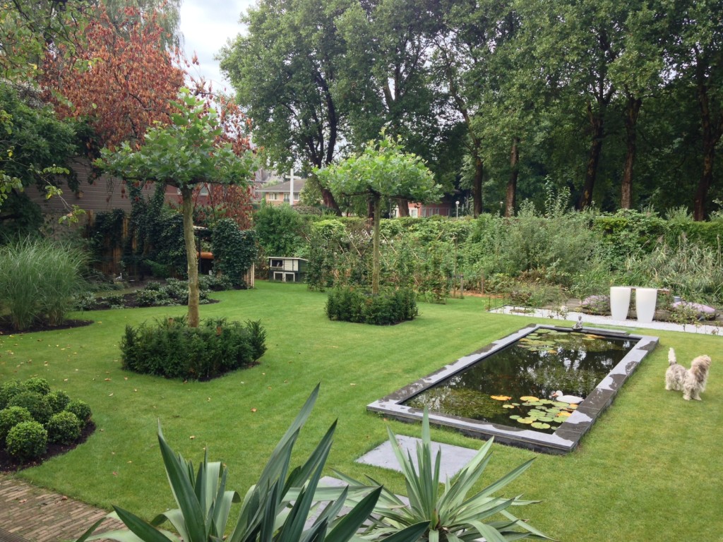 Tuinontwerp.nu tuin met strakke vijver en parasolbomen